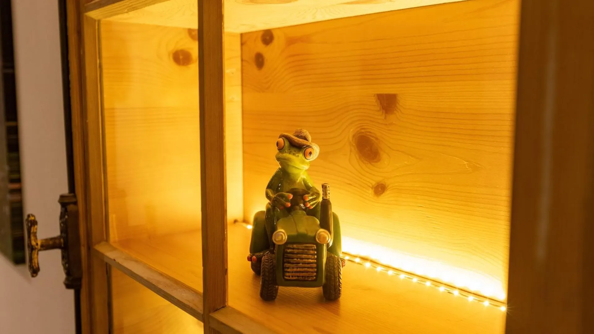 Ferienwohnung Froschkoenig Mit Sauna Inkl Koenigscard Nesselwang